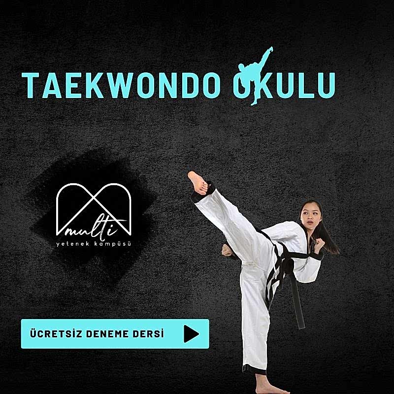 Taekwondo Okullarımız